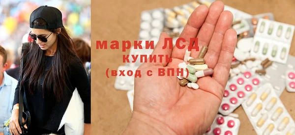 индика Алзамай