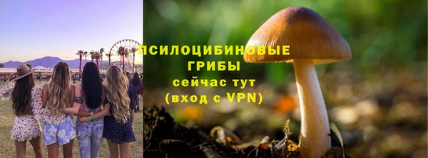 2c-b Алексеевка