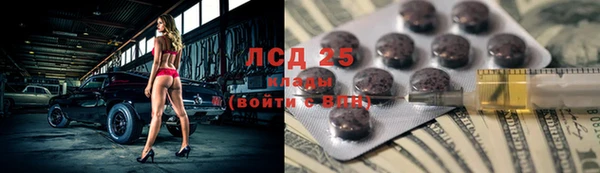 индика Алзамай