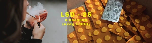 индика Алзамай