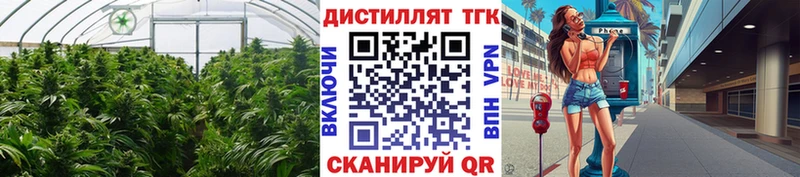 магазин продажи наркотиков  Константиновск  Дистиллят ТГК вейп с тгк 